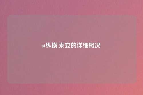 st纵横,泰安的详细概况