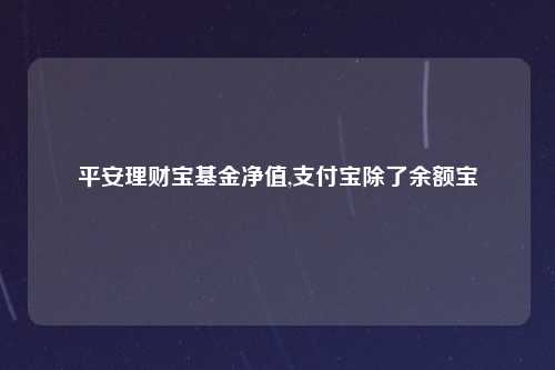 平安理财宝基金净值,支付宝除了余额宝