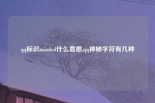 qq标识minded什么意思,qq神秘字符有几种
