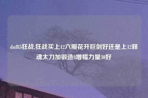 dnf85狂战,狂战买上12六瓣花开巨剑好还是上12释魂太刀加锻造8增幅力量30好