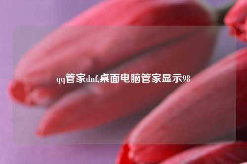 qq管家dnf,桌面电脑管家显示98