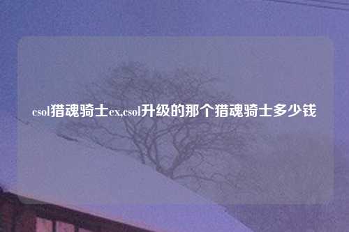 csol猎魂骑士ex,csol升级的那个猎魂骑士多少钱