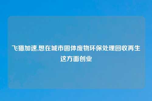 飞猫加速,想在城市固体废物环保处理回收再生这方面创业