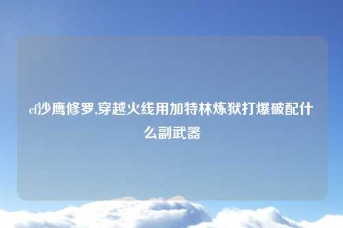 cf沙鹰修罗,穿越火线用加特林炼狱打爆破配什么副武器