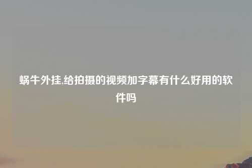 蜗牛外挂,给拍摄的视频加字幕有什么好用的软件吗