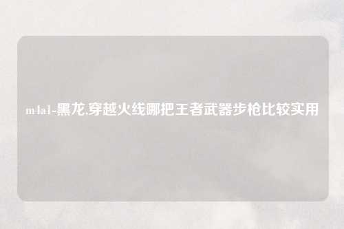 m4a1-黑龙,穿越火线哪把王者武器步枪比较实用