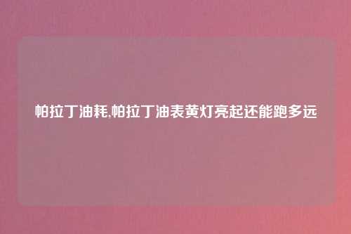 帕拉丁油耗,帕拉丁油表黄灯亮起还能跑多远