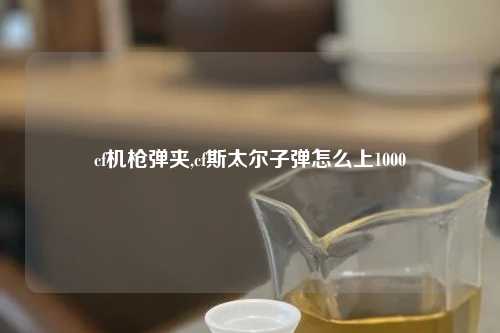 cf机枪弹夹,cf斯太尔子弹怎么上1000