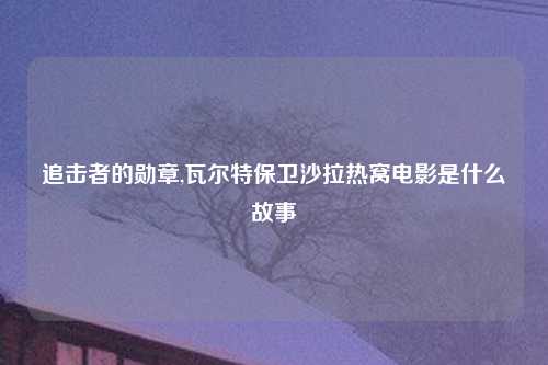 追击者的勋章,瓦尔特保卫沙拉热窝电影是什么故事