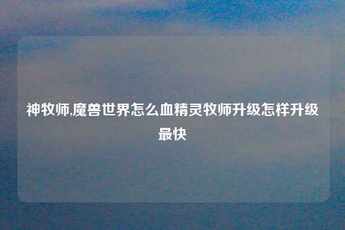神牧师,魔兽世界怎么血精灵牧师升级怎样升级最快