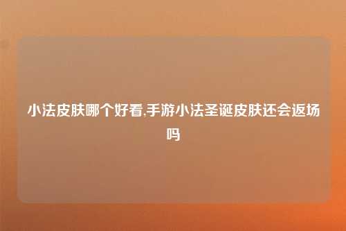 小法皮肤哪个好看,手游小法圣诞皮肤还会返场吗