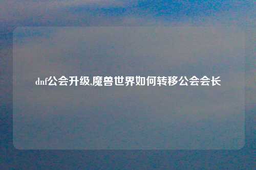 dnf公会升级,魔兽世界如何转移公会会长