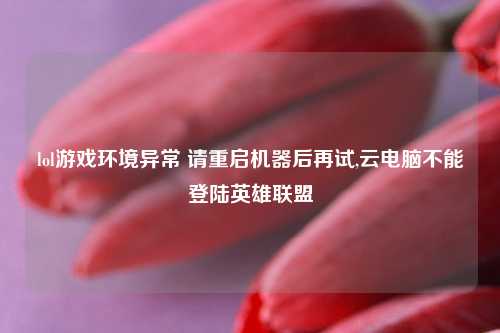 lol游戏环境异常 请重启机器后再试,云电脑不能登陆英雄联盟