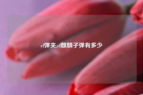 cf弹夹,cf麒麟子弹有多少