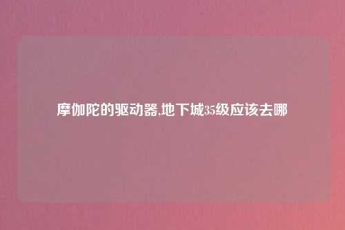 摩伽陀的驱动器,地下城35级应该去哪