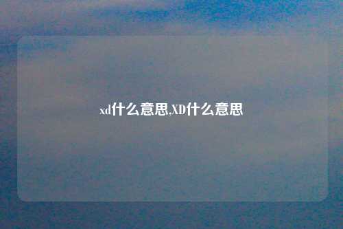 xd什么意思,XD什么意思
