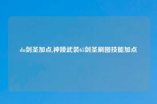 dn剑圣加点,神陵武装65剑圣刷图技能加点