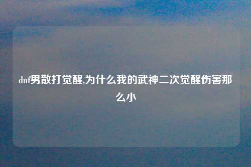 dnf男散打觉醒,为什么我的武神二次觉醒伤害那么小