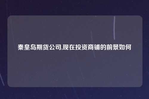 秦皇岛期货公司,现在投资商铺的前景如何