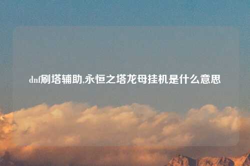 dnf刷塔辅助,永恒之塔龙母挂机是什么意思