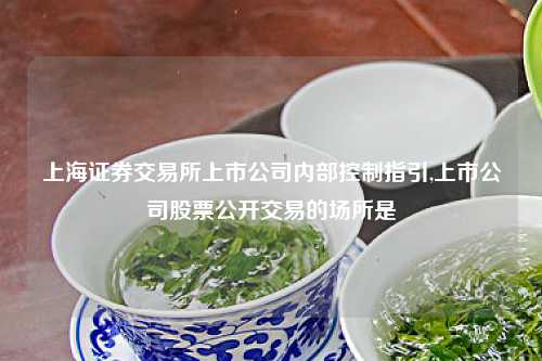 上海证券交易所上市公司内部控制指引,上市公司股票公开交易的场所是
