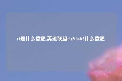 t1是什么意思,英雄联盟t1t2t3t4t5什么意思