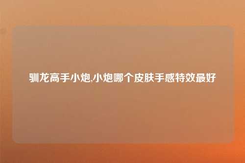 驯龙高手小炮,小炮哪个皮肤手感特效最好