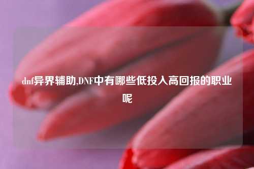 dnf异界辅助,DNF中有哪些低投入高回报的职业呢