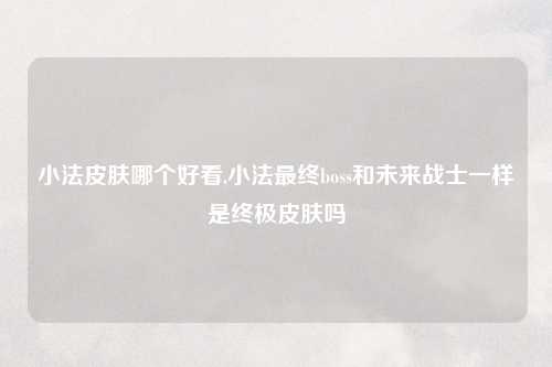 小法皮肤哪个好看,小法最终boss和未来战士一样是终极皮肤吗