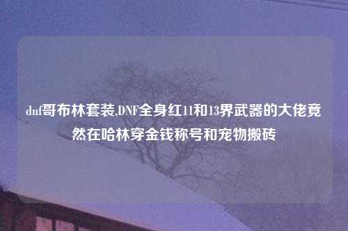 dnf哥布林套装,DNF全身红11和13界武器的大佬竟然在哈林穿金钱称号和宠物搬砖