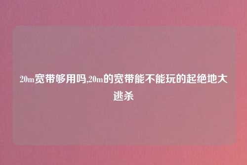 20m宽带够用吗,20m的宽带能不能玩的起绝地大逃杀