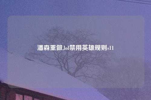 潘森重做,lol禁用英雄规则s11