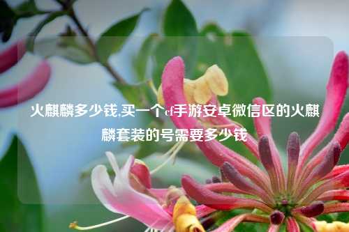 火麒麟多少钱,买一个cf手游安卓微信区的火麒麟套装的号需要多少钱