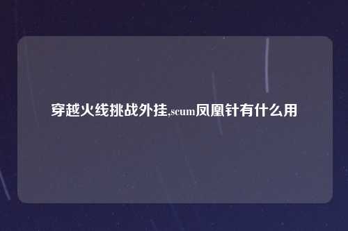 穿越火线挑战外挂,scum凤凰针有什么用