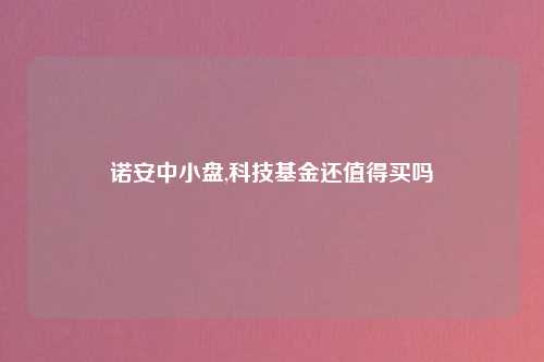 诺安中小盘,科技基金还值得买吗