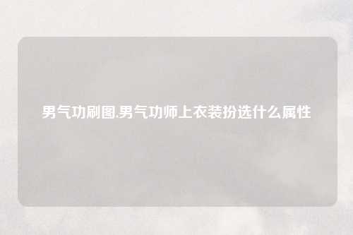 男气功刷图,男气功师上衣装扮选什么属性