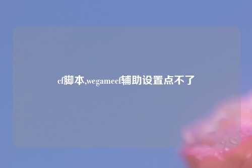cf脚本,wegamecf辅助设置点不了