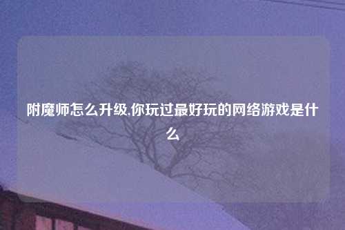 附魔师怎么升级,你玩过最好玩的网络游戏是什么