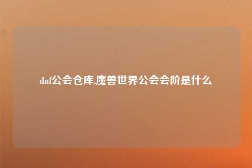 dnf公会仓库,魔兽世界公会会阶是什么