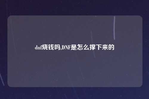 dnf烧钱吗,DNF是怎么撑下来的