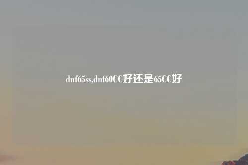 dnf65ss,dnf60CC好还是65CC好