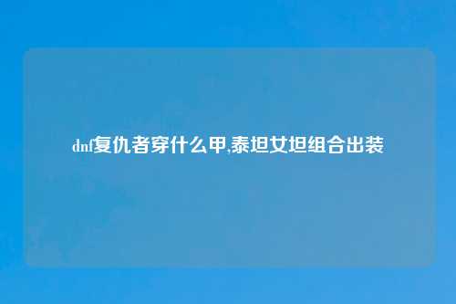 dnf复仇者穿什么甲,泰坦女坦组合出装