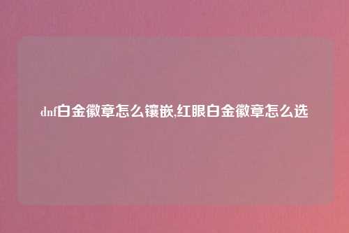 dnf白金徽章怎么镶嵌,红眼白金徽章怎么选