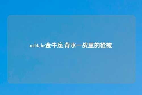 m14ebr金牛座,背水一战里的枪械