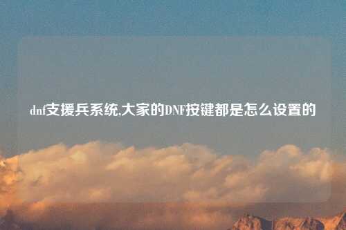 dnf支援兵系统,大家的DNF按键都是怎么设置的