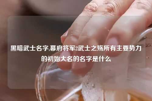 黑暗武士名字,幕府将军2武士之殇所有主要势力的初始大名的名字是什么