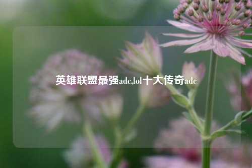 英雄联盟最强adc,lol十大传奇adc