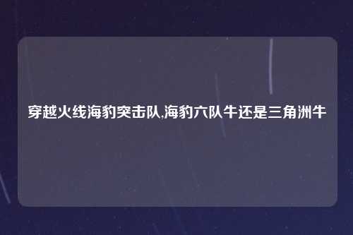 穿越火线海豹突击队,海豹六队牛还是三角洲牛