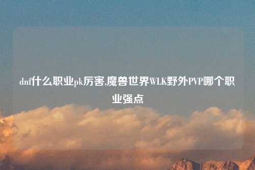 dnf什么职业pk厉害,魔兽世界WLK野外PVP哪个职业强点