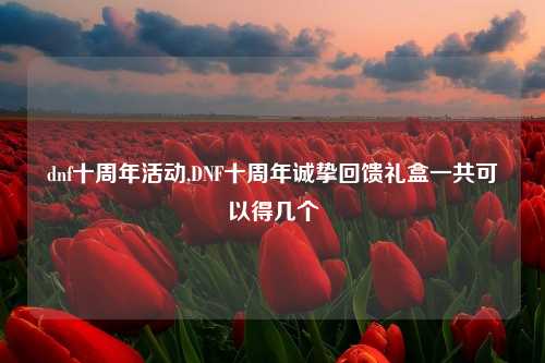 dnf十周年活动,DNF十周年诚挚回馈礼盒一共可以得几个